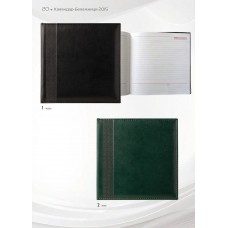 БЕЛЕЖНИК - 20