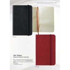 БЕЛЕЖНИК - 27